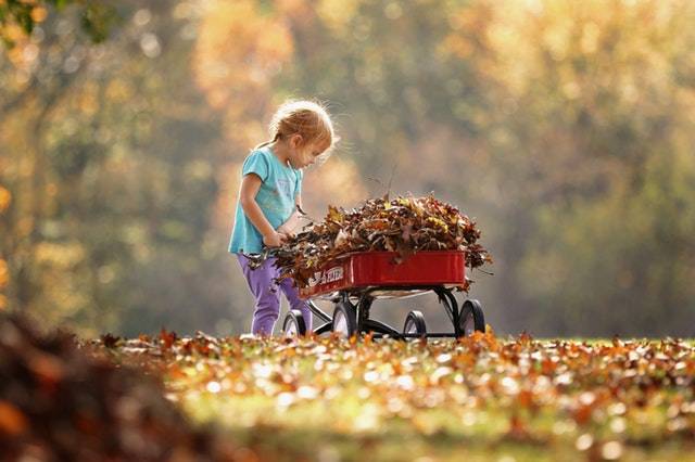 Herbarium maken herfst binnenactiviteiten