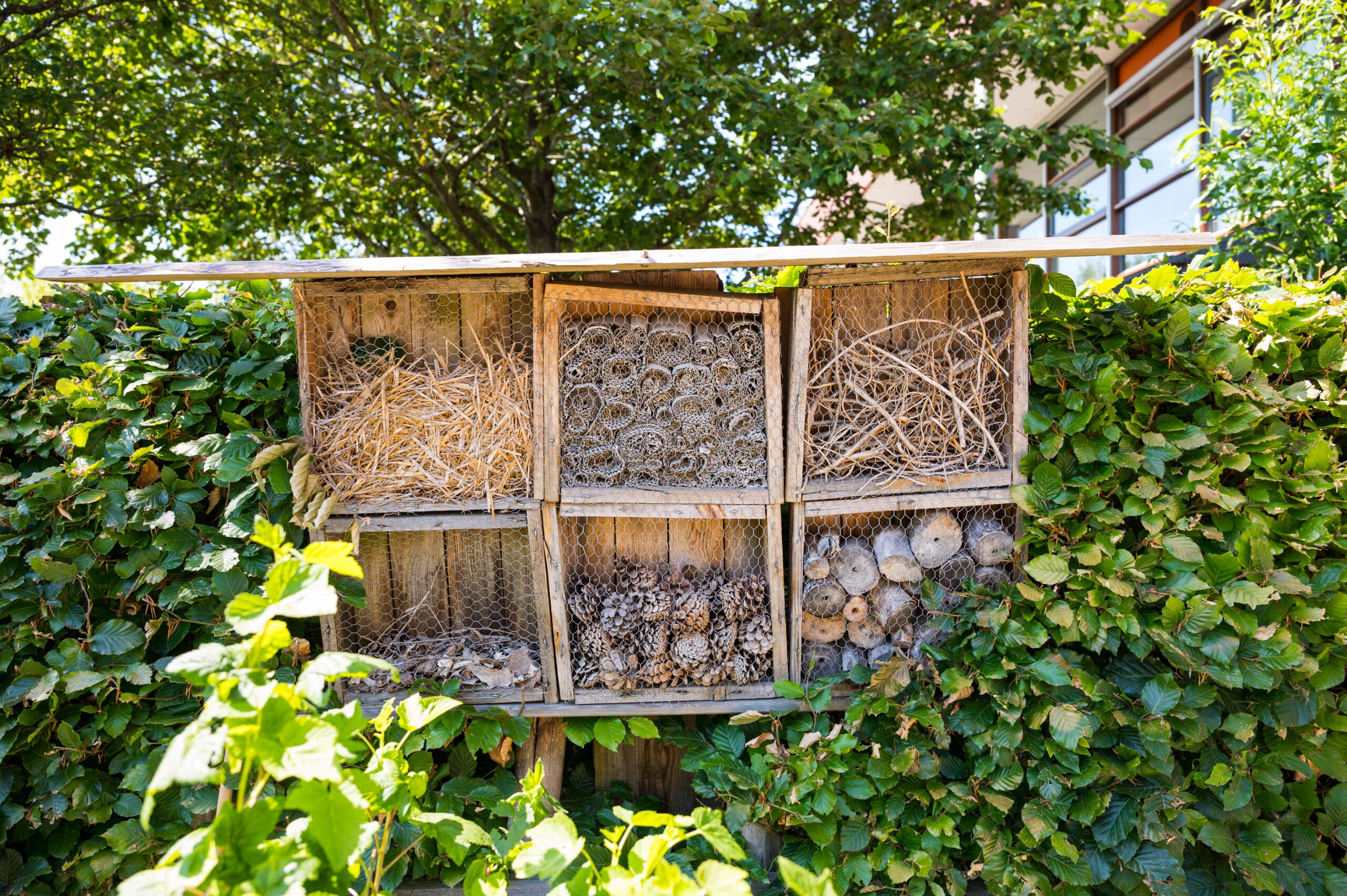 Insectenhotel bij Vlietkinderen