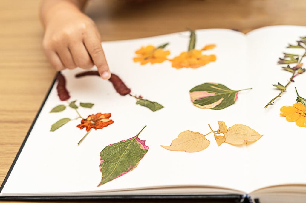 Herbarium boek - herfstactiviteiten