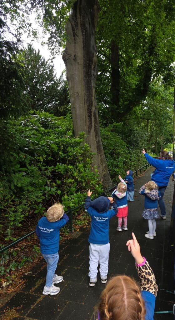 peuter4daagse: kinderen wijzen naar een boom